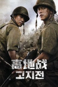 高地战 poster