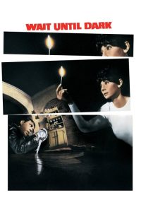 盲女惊魂记 poster
