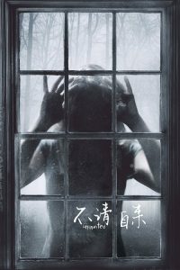 不请自来 poster