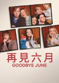再见琼 poster