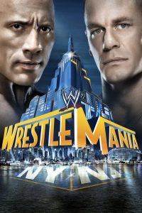 WWE 摔角狂热 29 poster