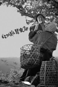日本昆虫记 poster