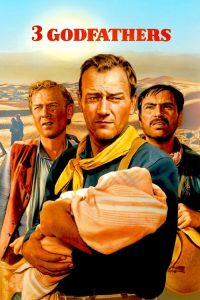 荒漠义侠 poster