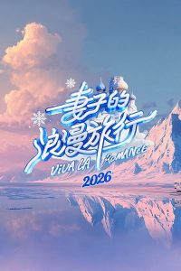 妻子的浪漫旅行 poster