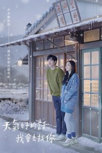 天气好的话，我会去找你 poster