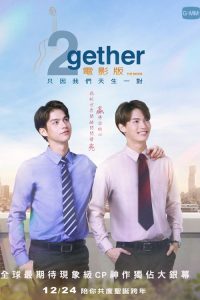 假偶天成 电影版 poster