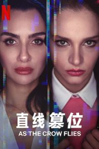 直线篡位 poster
