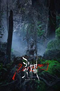 灵媒 poster