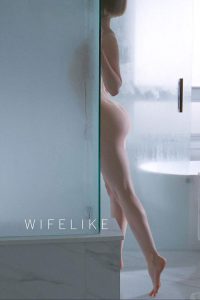 仿生贤妻 poster