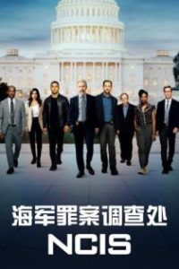 海军罪案调查处 poster