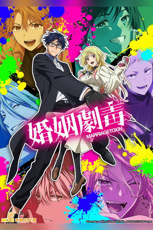 婚姻剧毒 poster
