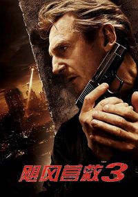 飓风营救3 poster