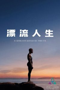 漂流人生 poster