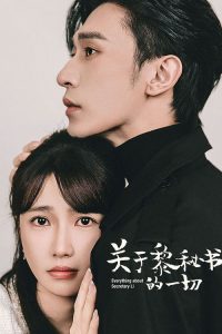 关于黎秘书的一切 poster