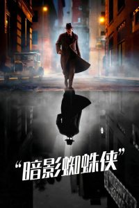 暗影蜘蛛侠 poster