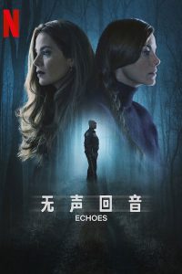 无声回音 poster