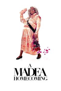 欢庆归来梅迪亚 poster