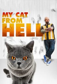 家有恶猫 poster