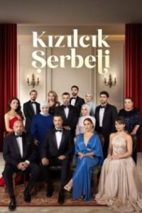 Kızılcık Şerbeti poster