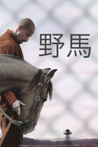 野马 poster