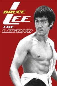 李小龙传奇 poster