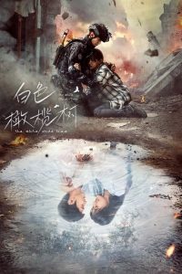 白色橄榄树 poster