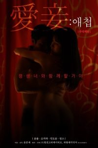 私欲爱妾 poster