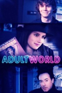 成人世界 poster