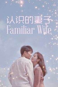 认识的妻子 poster