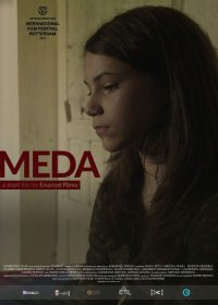 Meda poster