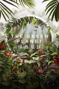 绿色星球 poster