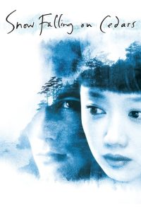 落在香杉树的雪花 poster