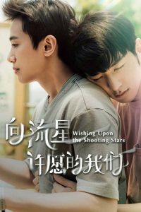 向流星许愿的我们 poster