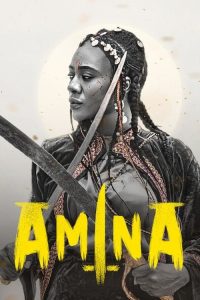 阿米娜 poster