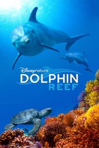 海豚礁 poster