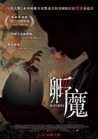 孵化 poster