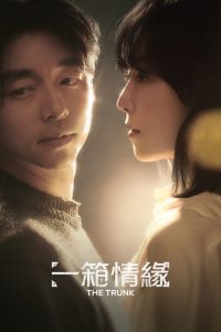 一箱情缘 poster