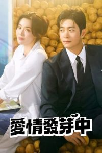 爱情发芽中 poster