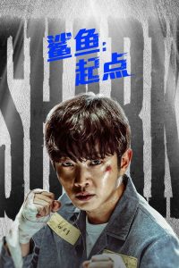 鲨鱼：起点 poster