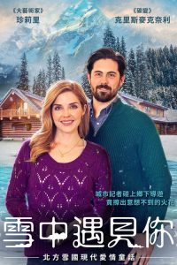 Snowkissed poster