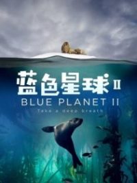蓝色星球 2 poster