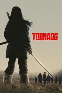 龙卷风 poster