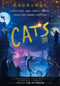 猫 poster