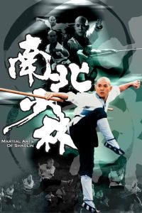 南北少林 poster