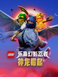 乐高幻影忍者：神龙崛起 poster