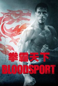 拳霸天下 poster