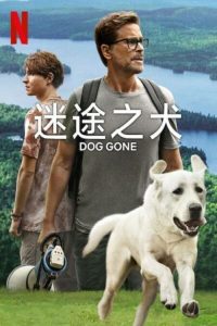 迷途之犬 poster