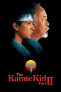 龙威小子2 poster