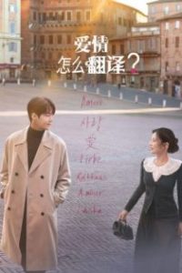 爱情怎么翻译？ poster