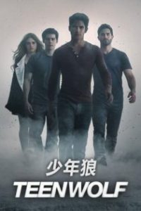 少狼 poster
